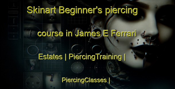 Skinart Beginner's piercing course in James E Ferrari Estates | PiercingTraining | PiercingClasses | SkinartTraining-United States